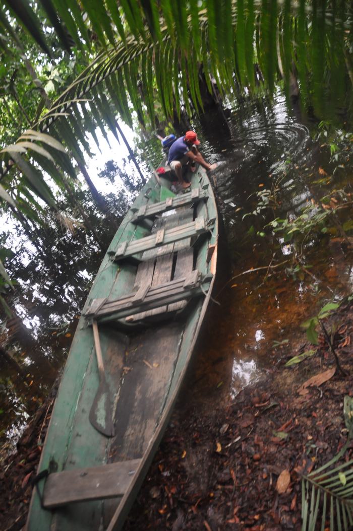 Brazylia - Manaus - Amazonka